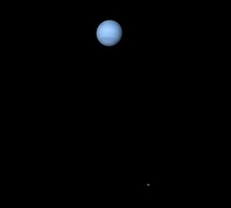 Neptune and triton captured by voyager  