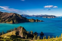 New Zealands real Sounds Port Underwood in the Marlborough Sounds 