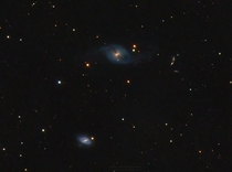 NGC  amp  galaxies in Ursa major