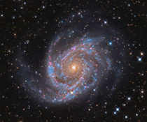 NGC  an intermediate barred spiral galaxy located about  million light-years away from earth in the constellation of Leo Minor The black hole at its center is thought to be less than a million times the mass of the sun which is really really small image c