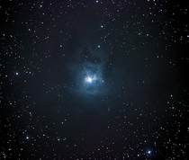 NGC - The Iris Nebula  f newt Sony a iso  minutes integration 