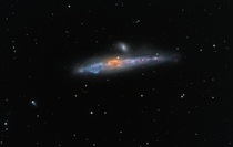 NGC  The Whale Galaxy 