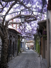 Nice little flower street in Molyvos Lesvos Greece 