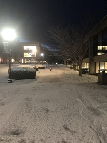Night shift on a college campus in New Hampshire has its perks