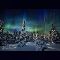 Night skies of Labrador NL Canada