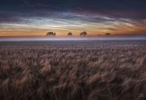 Noctilucent Clouds over foggy Danish nightscape Northern Jutland 