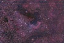 North America Nebula from my light polluted backyard