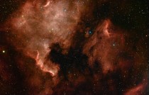 North America Nebula NGC  or Caldwell  
