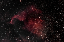 North American nebula from my backyard Bortle 