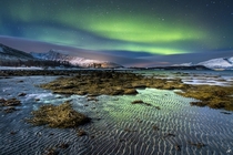 Northern Lights at Lyngen Norway  by Ferran Vega