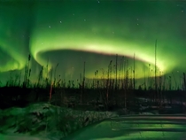 Northern Lights Northern Canada Boreal Forrest 