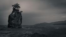 Not that much love for black and white here But this lonely tree at the coast of Vancouver might need it 