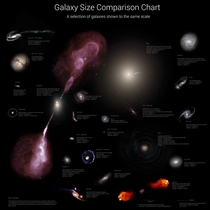 Notable galaxies drawn to scale
