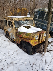 NYS DPW Jeep I saw hunting with the dog this morning