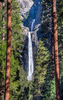 OC - Yosemite Falls framed by the woods Yosemite National Park  JakobPattersonphotography