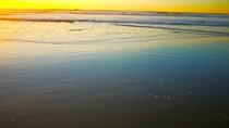 Ocean Beach San Francisco CA 