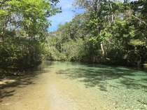 Oh theres a river that winds on forever- Weeki Wachee FL USA 