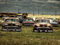 OId and abandoned American automobiles and old yellow school buses sit in quiet rows at a site in Texas USA
