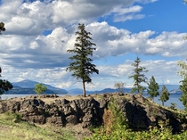 Okanagan Lake view with Pine OC 