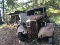 Old Abandoned Truck 