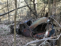 Old Chevy  Parked In The Woods