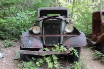 Old flatbed rusting away in the forests of Oregon