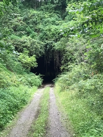 Old rail road tunnel in southwestern PA