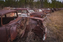 Old rusty automobile in a defunct salvage yard ocx