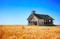 Old school house in a wheat field 