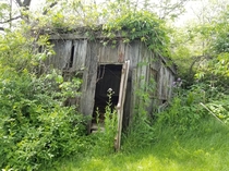 Old shed I found on the back of my property