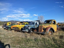 Old tow trucks Buena Vista CO 