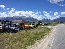 Old trucks in Buena Vista CO 