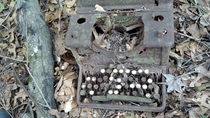 Old typewriter Columbia County GA 