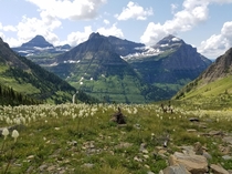 On the way to the chalet at Glacier National Park MO I distinctly remember this hike because i had to duck down on the mountain when an eagle pecked a flying crow not so far from where I was 