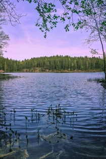 One of many lakes of Finland Nuuksio national park 