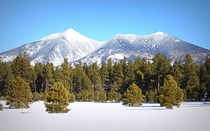 One of my favorite pictures of the San Francisco Peaks -- the highest point in Arizona 