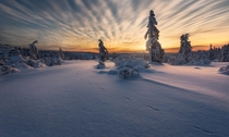 One of my favorite winter sunrises in Kongsberg Norway 