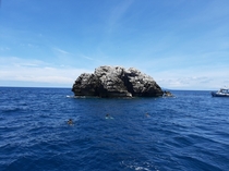 One of the best snorkeling sites Sail Rock TH 
