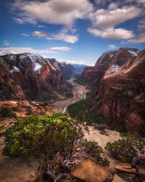 One of the best views in Zion NP Utah 
