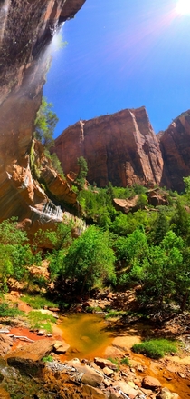 One of the Emerald Pools at Zion National Park 
