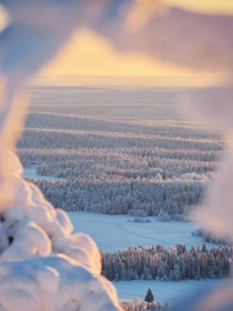 One sunny January morning at Ruka Ski Resort Finland x 