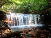 Oneida Falls at Ricketts Glen State Park - Benton PA - 