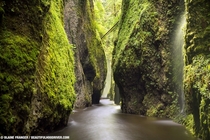Oneonta Gorge Oregon - Blaine Franger Photography 