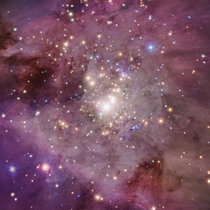 Orion Nebula Credit Chandra X-ray Observatory