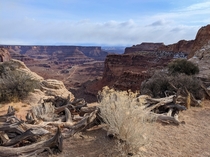Outlook at the underrated Canyonlands National Park 