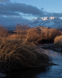 Outside the small town of Bishop California  IGzachgibbonsphotography