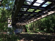 Overgrown railway bridge 
