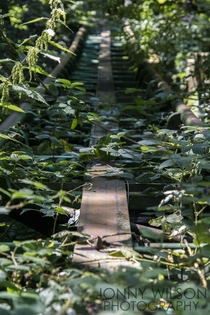 Overgrown tracks of an old theme park - Camelot UK 