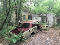 Overgrown village in the Chernobyl Exclusion Zone