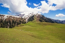 Paaya Meadows with the Makra Peak m in the background Pakistan  By Faysal Elahi 